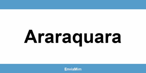 Telefone da Braspress em Araraquara