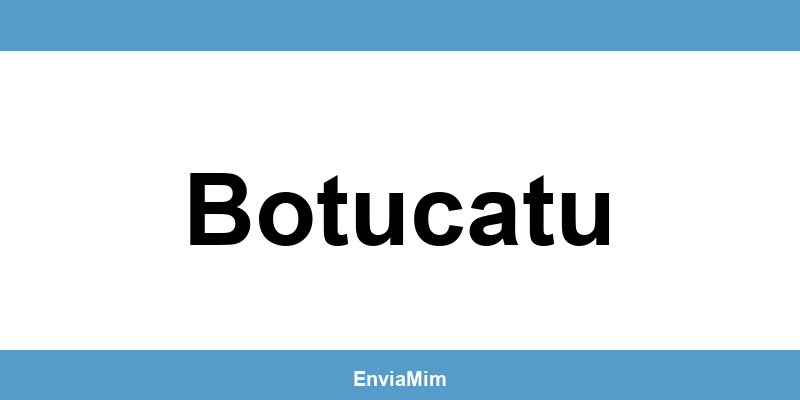 Telefone da Braspress em Botucatu