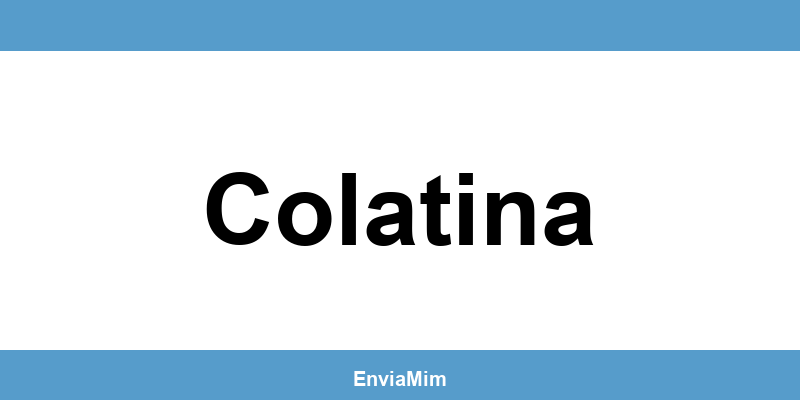 Telefone da Braspress em Colatina