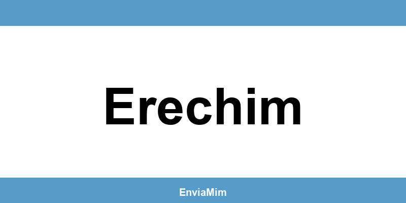 Telefone da Braspress em Erechim
