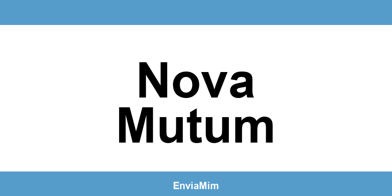 Telefone da Braspress em Nova Mutum