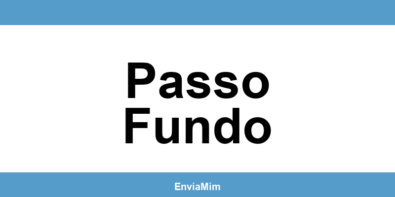 Telefone da Braspress em Passo Fundo