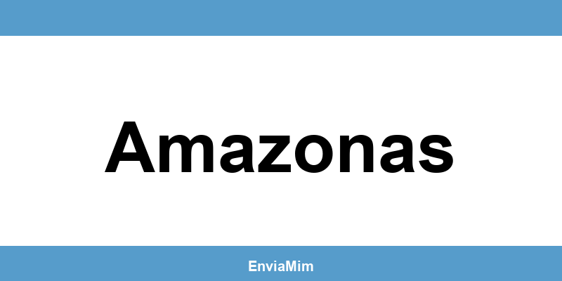 Telefone da Braspress em Amazonas