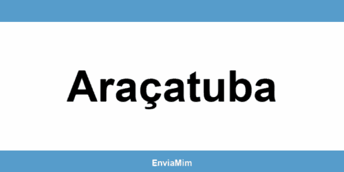 Telefone da Braspress em Araçatuba