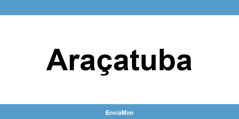Telefone da Braspress em Araçatuba