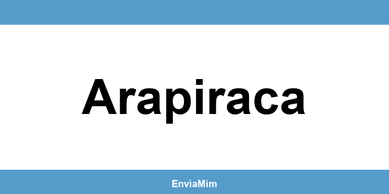 Telefone da Braspress em Arapiraca