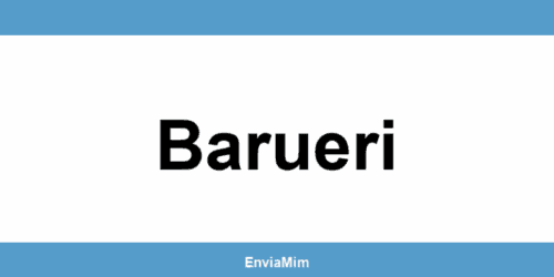 Telefone da Braspress em Barueri