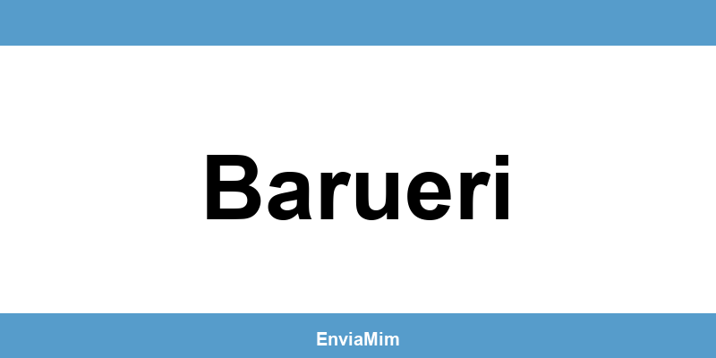Telefone da Braspress em Barueri