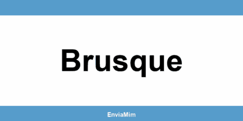 Telefone da Braspress em Brusque