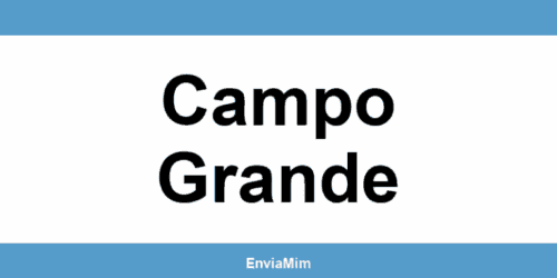 Telefone da Braspress em Campo Grande