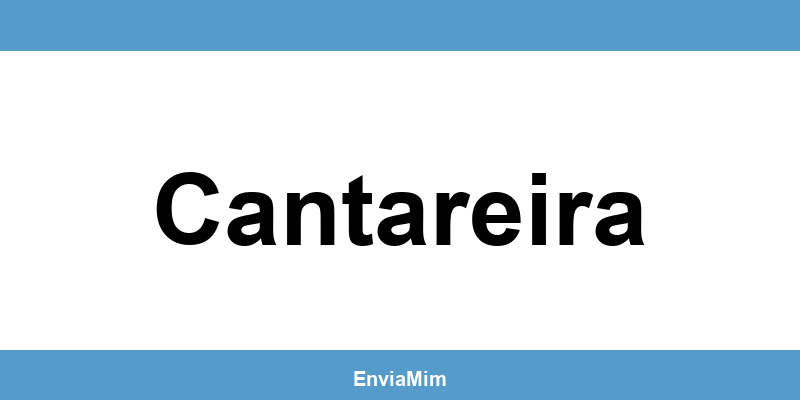 Telefone da Braspress em Cantareira