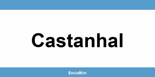 Telefone da Braspress em Castanhal