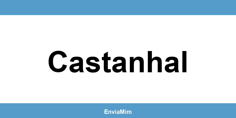Telefone da Braspress em Castanhal