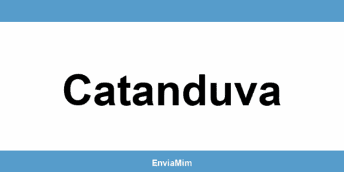 Telefone da Braspress em Catanduva