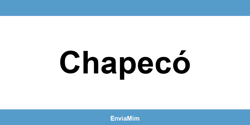 Telefone da Braspress em Chapecó