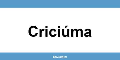 Telefone da Braspress em Criciúma