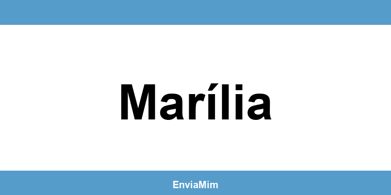 Telefone da Braspress em Marília