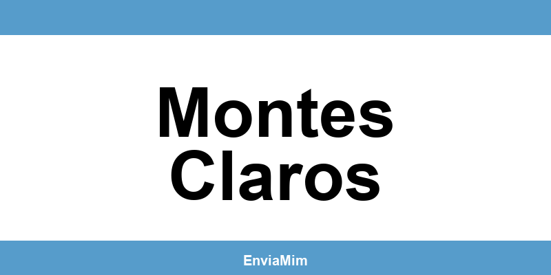 Telefone da Braspress em Montes Claros