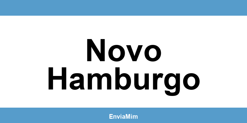 Telefone da Braspress em Novo Hamburgo