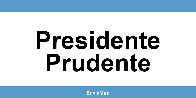 Telefone da Braspress em Presidente Prudente