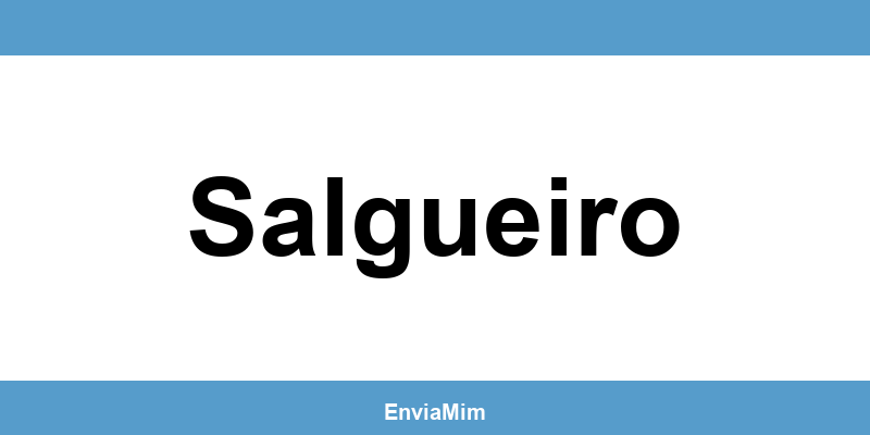 Telefone da Braspress em Salgueiro