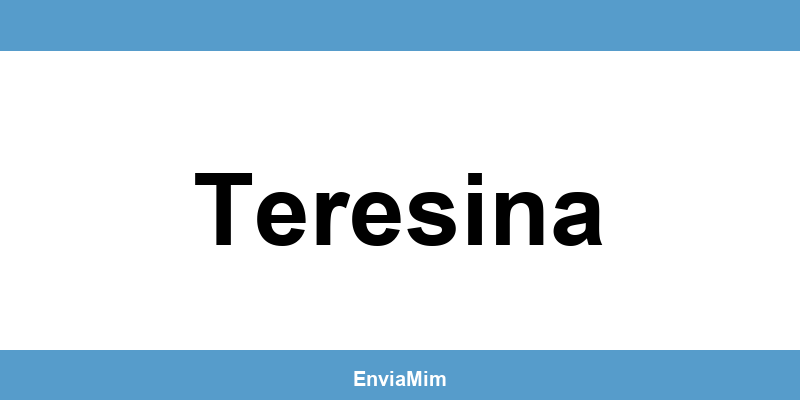 Telefone da Braspress em Teresina