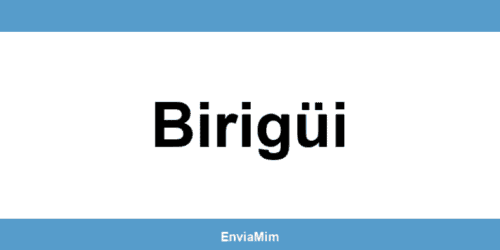 Telefone da Braspress em Birigüi