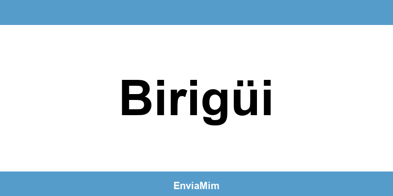 Telefone da Braspress em Birigüi