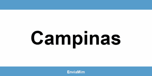 Telefone da Braspress em Campinas