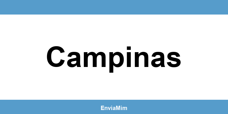 Telefone da Braspress em Campinas